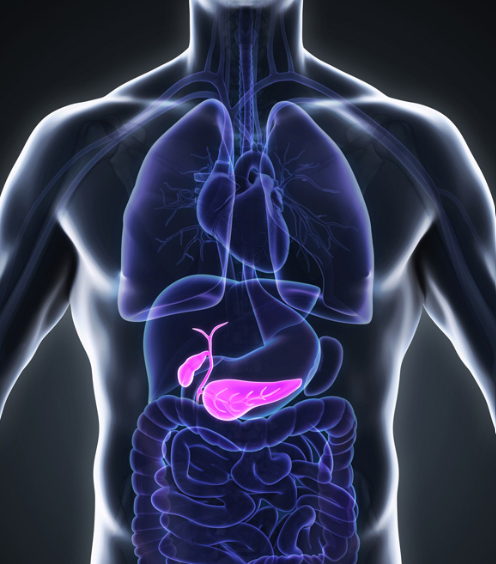 Liver Gallbladder Pancreas Surgery